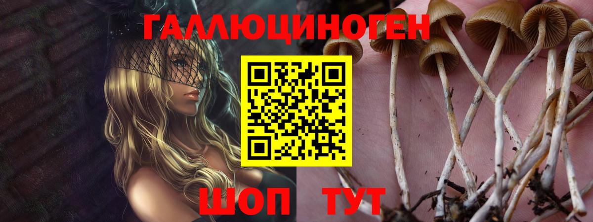 Псилоцибиновые грибы Magic Shrooms Геленджик