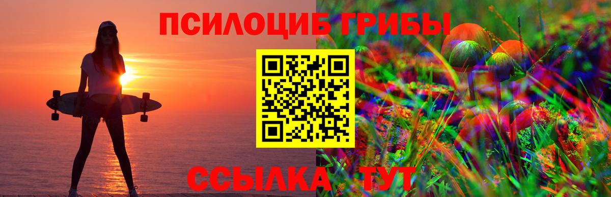 Геленджик  где купить наркоту  Вход с VPN  Галлюциногенные грибы мухоморы  Псилоцибиновые грибы прущие грибы 